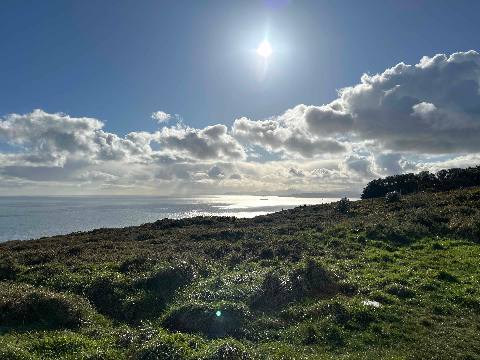 a grassy hillside overlooking the ocean on a bright day