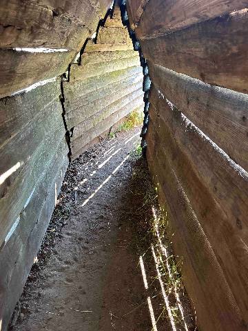 a narrow wooden corridor or trench structure in a natural setting
