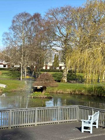 a wooden bench on a deck beside a pond with a fountain in a park setting