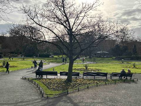 a park with a leafless tree, paved pathways, and benches in a garden setting