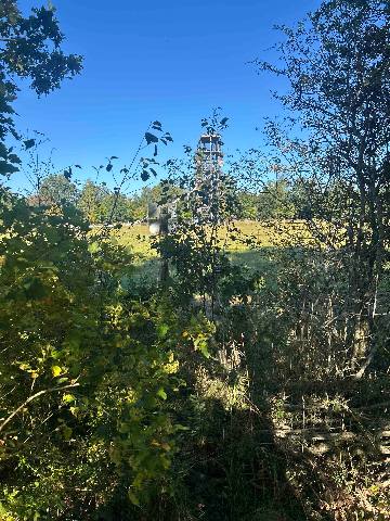 an observation tower seen through trees in a wooded landscape