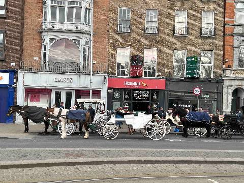 horse-drawn carriages on a city street in front of brick storefronts