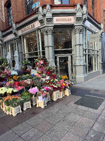 Dublin, a flower stand on a city sidewalk in front of a shop