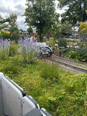 a vehicle ride through an outdoor garden with artificial flamingo sculptures