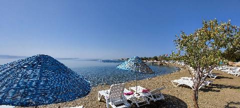 a sunny beach with lounge chairs, umbrellas, and a calm sea