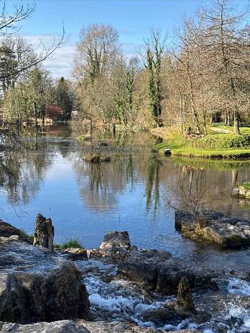 a small waterfall flowing into a pond surrounded by bare trees