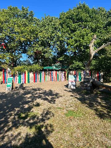 a colourful wooden fence in a park or forest area